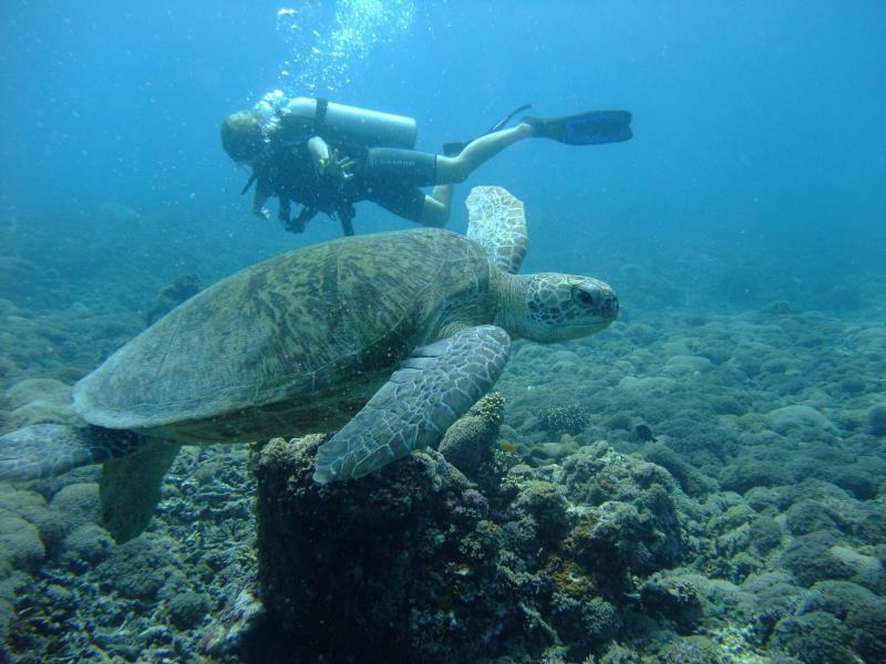 Ricel Homestay Gili Trawangan Zewnętrze zdjęcie